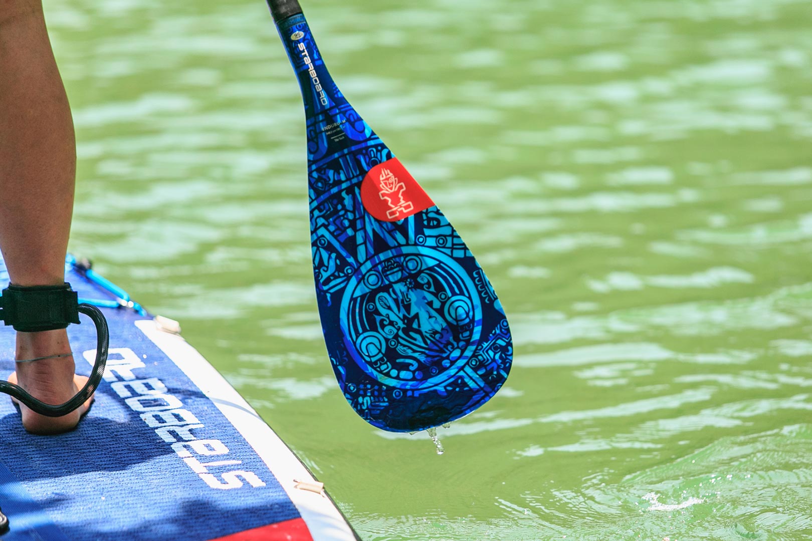 Entry Level SUP Paddles